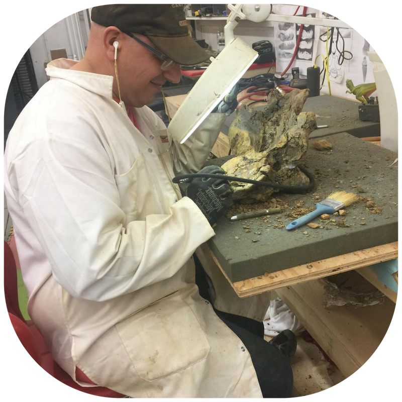On our exclusive Dinosaur Experience you can touch real dino bones ...