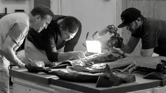 Bringing the past into the present; fossil restoration blending timeless techniques with advanced technology