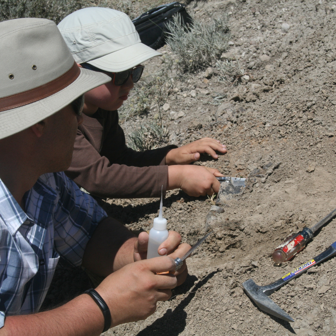 Book a Private Dig; Do you love travel + adventure + fossils?  Our private digs might be the experience you've been looking for.