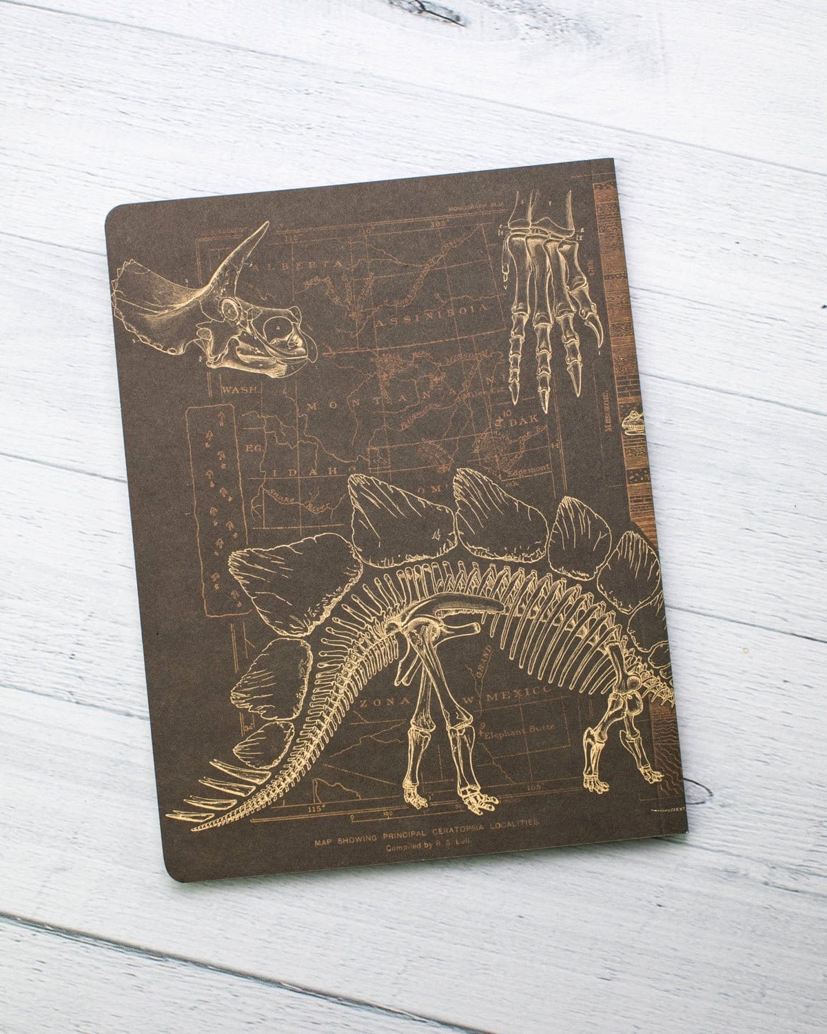 Dino Softcover Observation Notebook