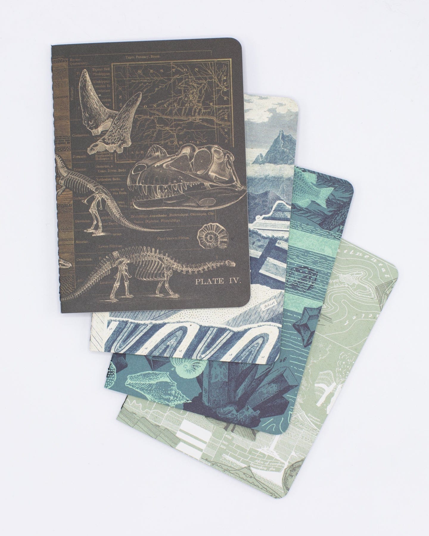 Earth Science pocket notebook 4 pack