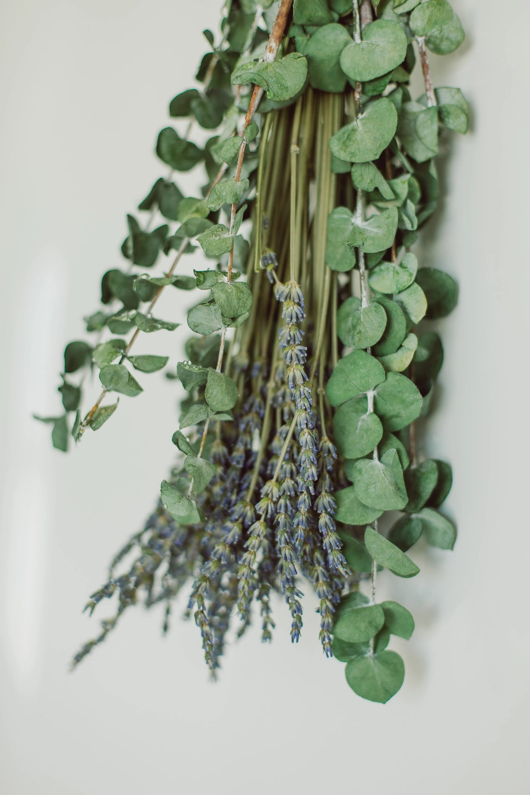 Eucalyptus and Lavender Shower Bundle