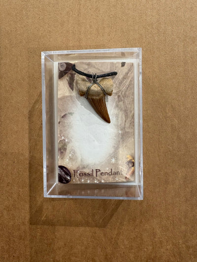 Fossil Pendants