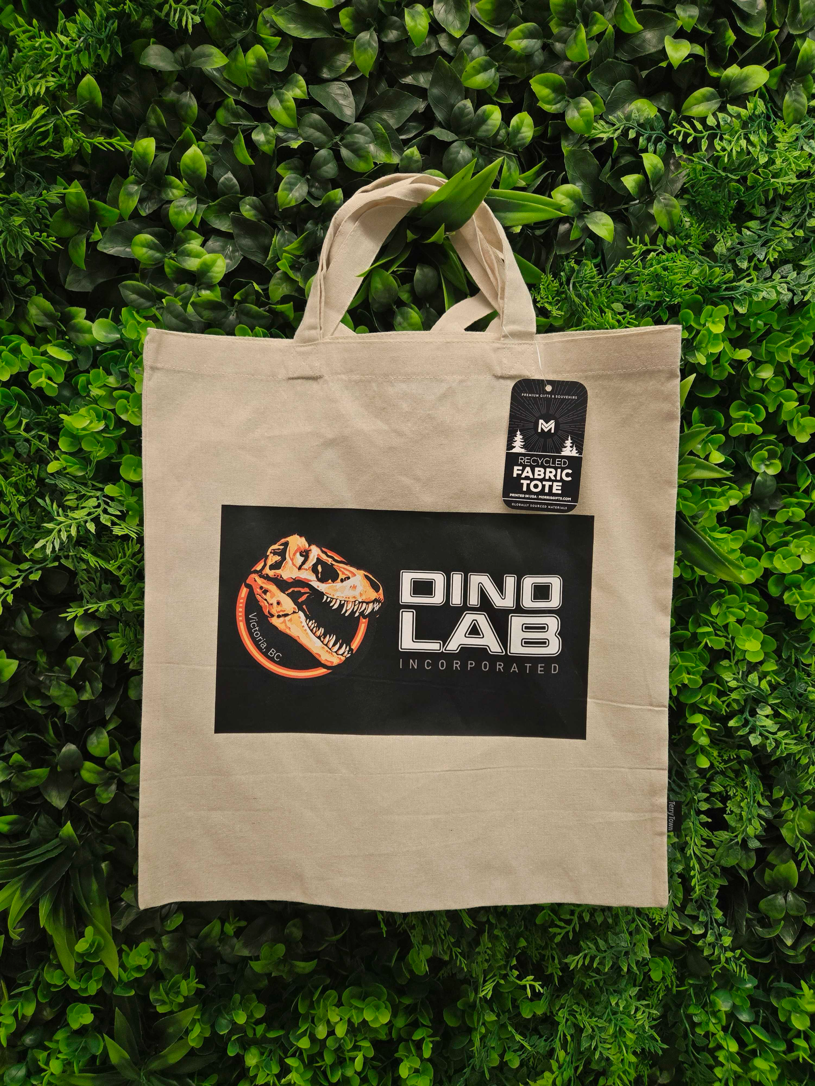 Dino Lab Fabric Tote