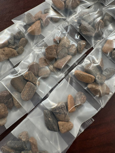 Polished Dino Bones Assortment