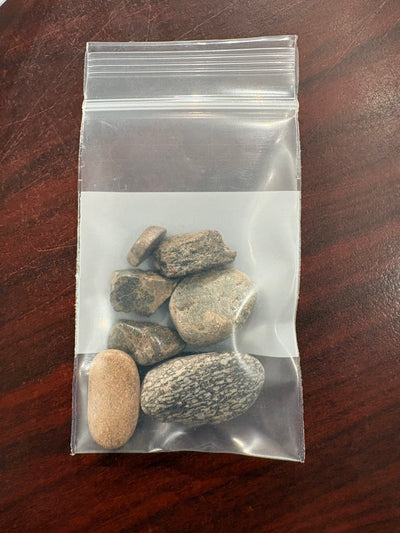Polished Dino Bones Assortment