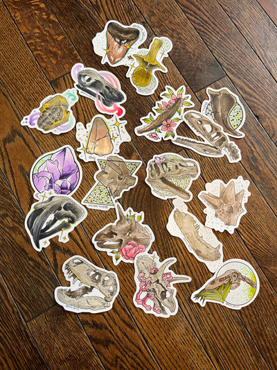 T. rex Dorsal Vertebrae Sticker