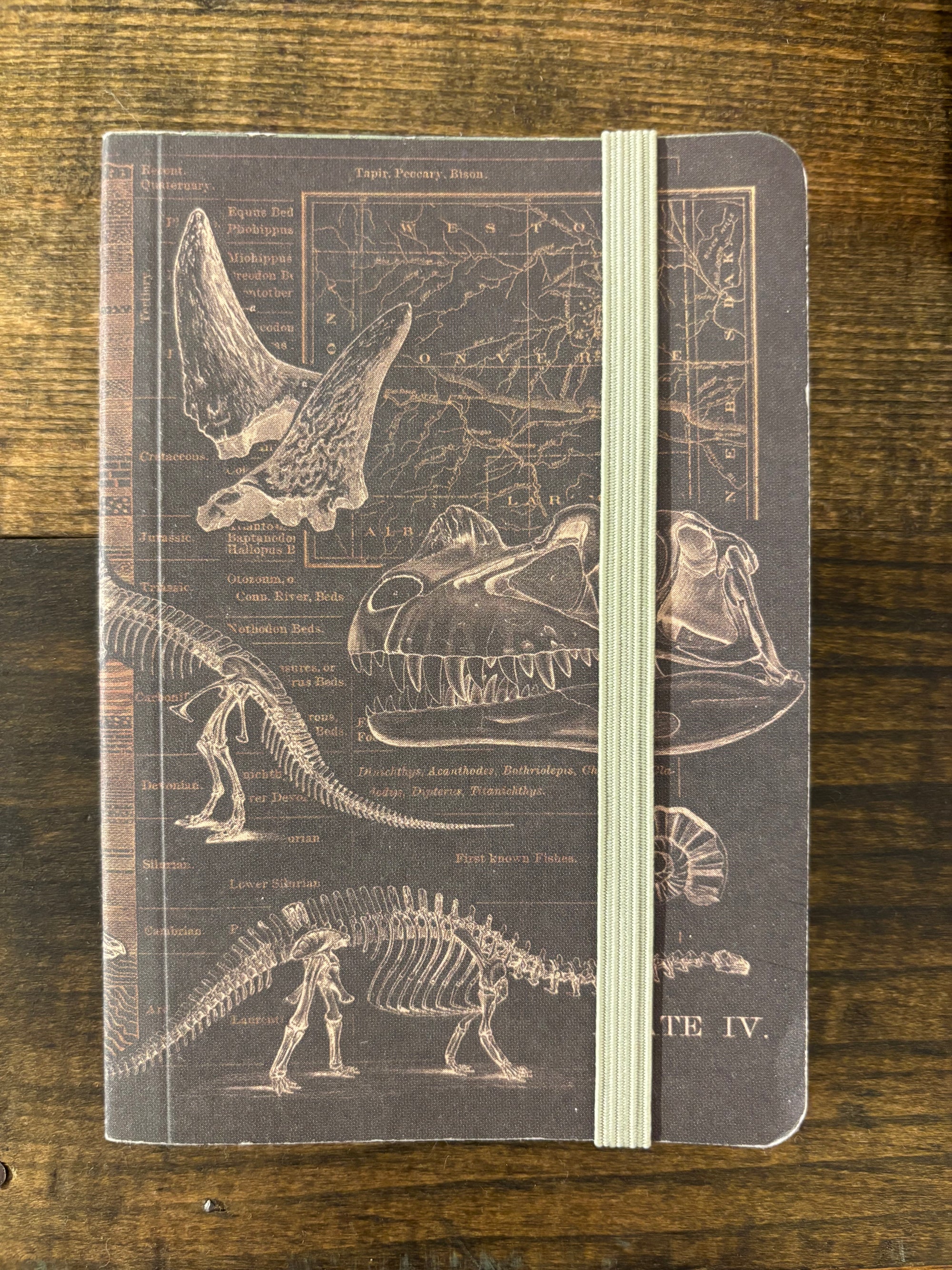 Dino Softcover Observation Notebook