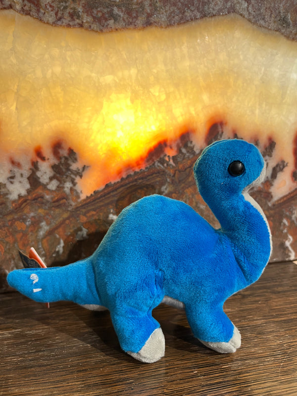 Pocketkins Eco Brontosaurus - Dino Lab Inc