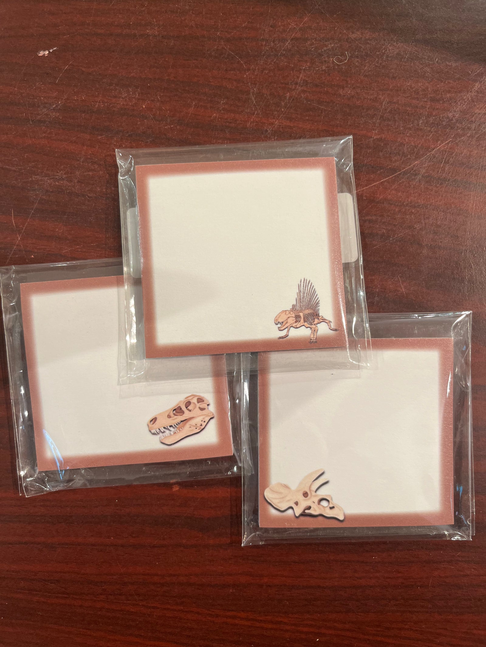 Dinosaur Themed Post-It Notes