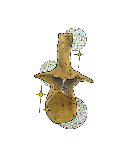 T. rex Dorsal Vertebrae Sticker