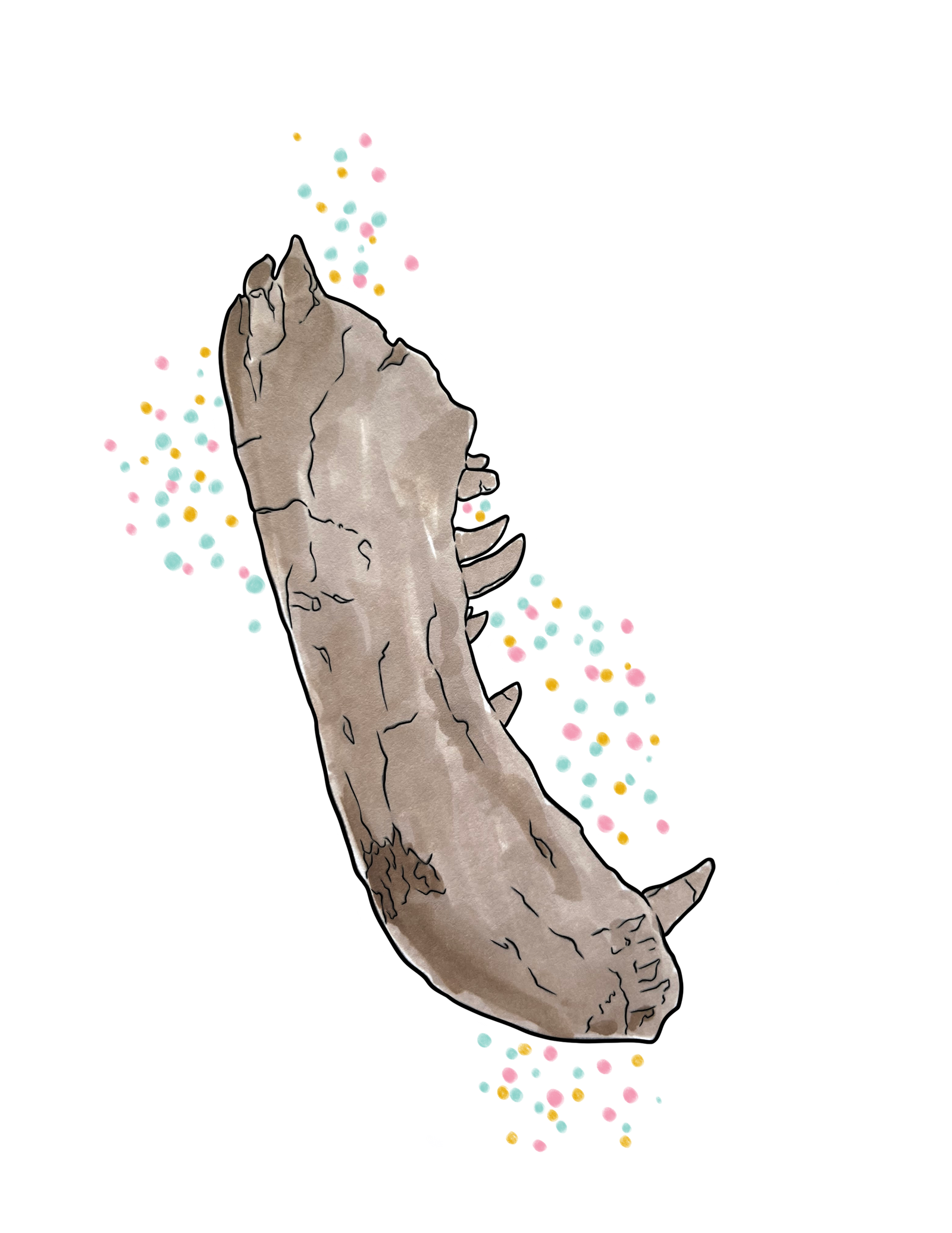 Victoria Dentary Sticker