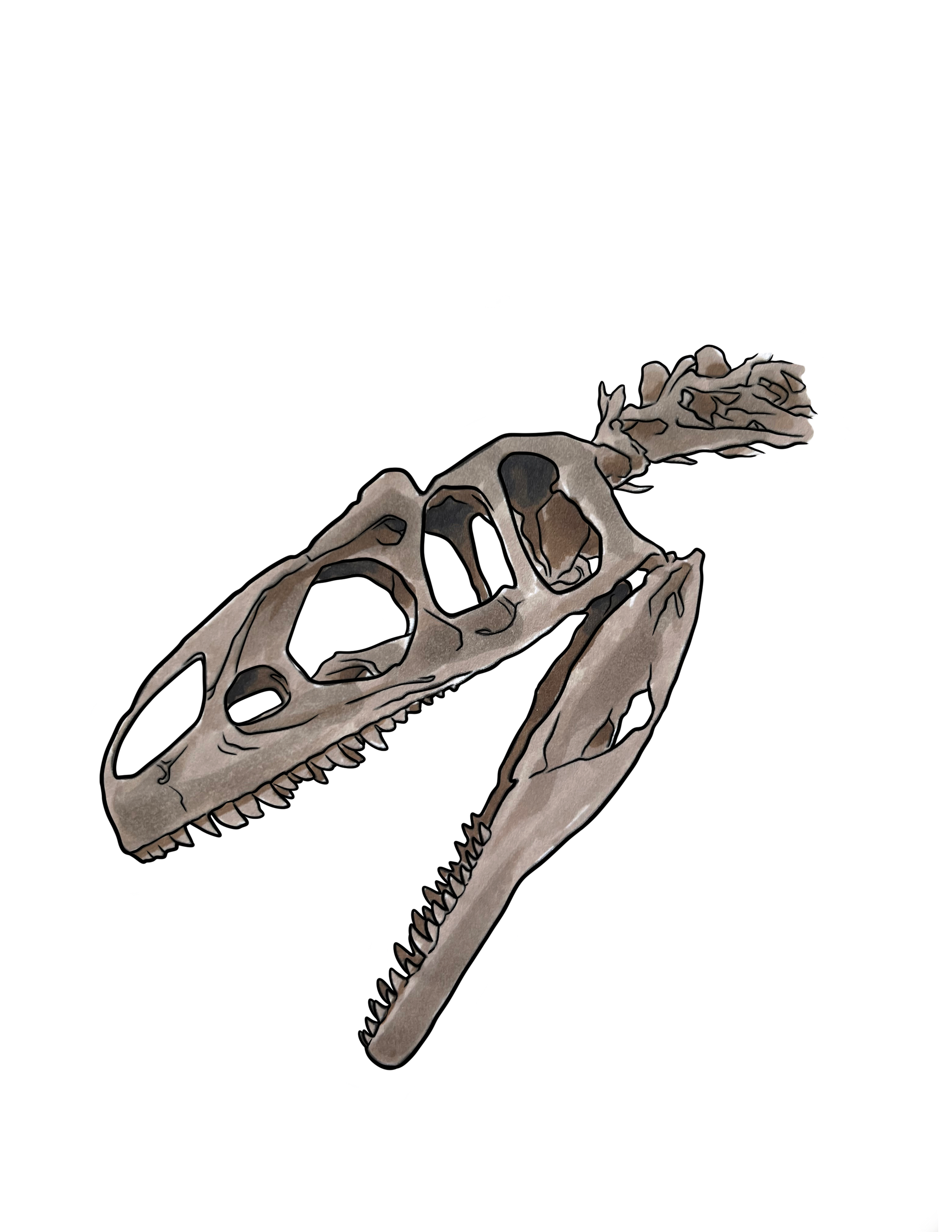 "Mina" Juvenile Allosaurus Sticker