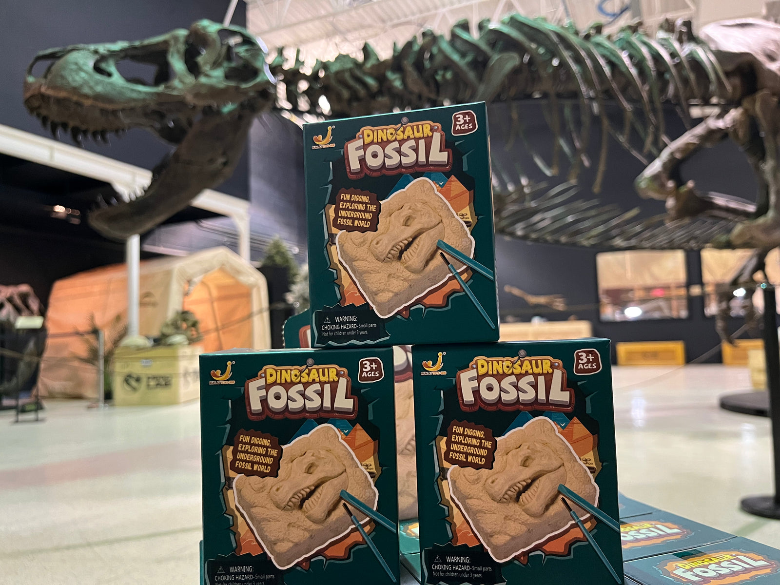 Dino Dig Out Discovery Toy