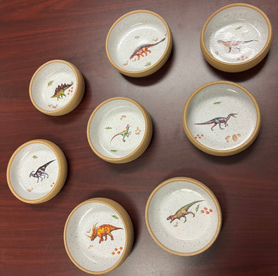 Dinosaur Bowls