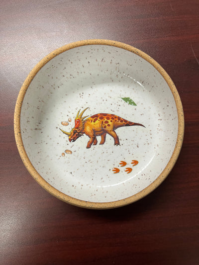 Dinosaur Bowls