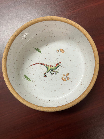 Dinosaur Bowls