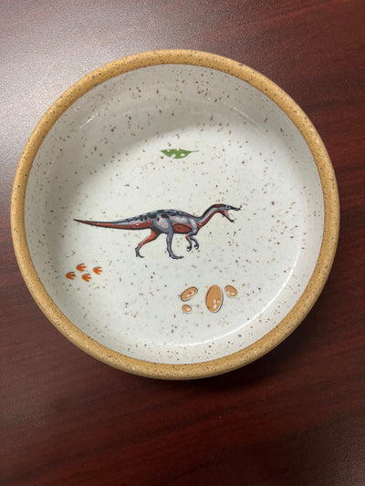 Dinosaur Bowls
