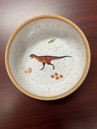 Dinosaur Bowls