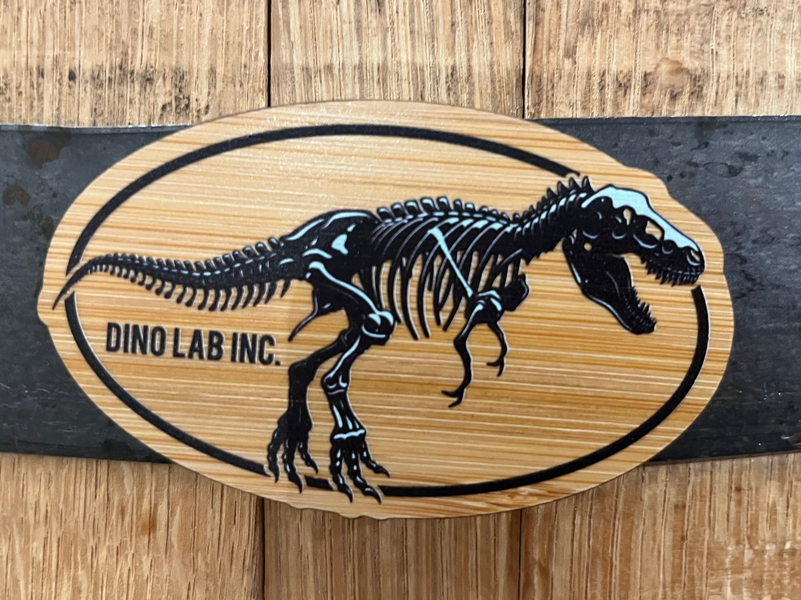 Magnet - TRex Skeleton Badge