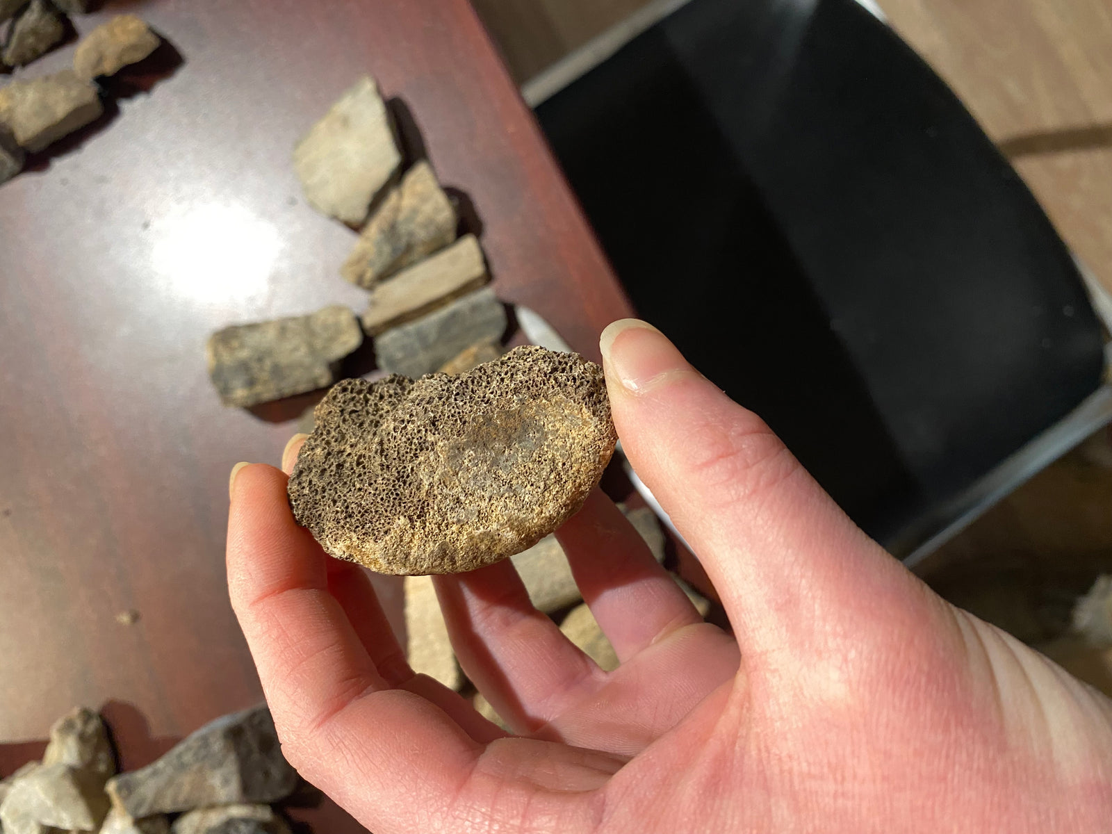 Bone Chunks (Extra small, under 100g)