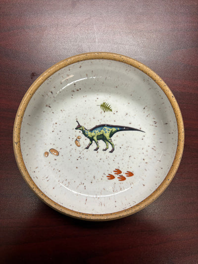Dinosaur Bowls