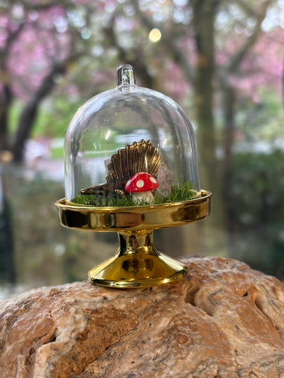 Mini Dino Terrarium