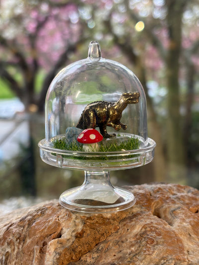 Mini Dino Terrarium