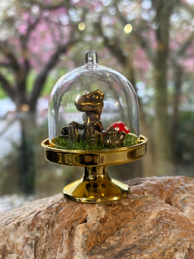 Mini Dino Terrarium