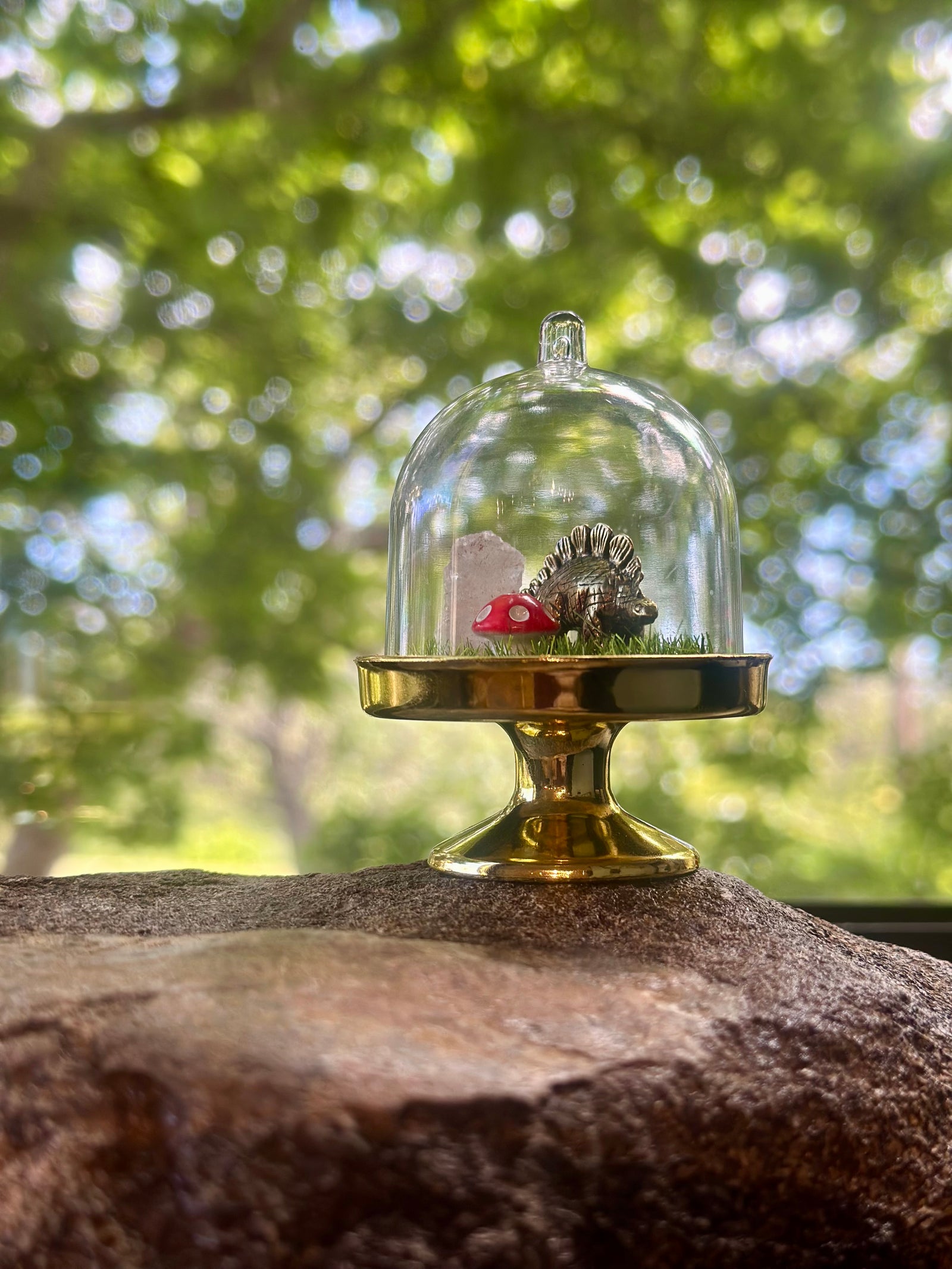 Mini Dino Terrarium
