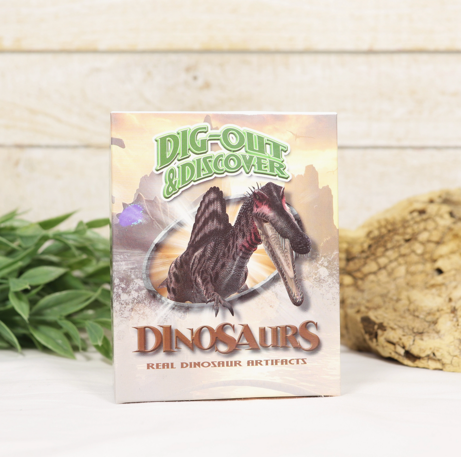 Dig Out Discover Dinosaurs Excavation Kit