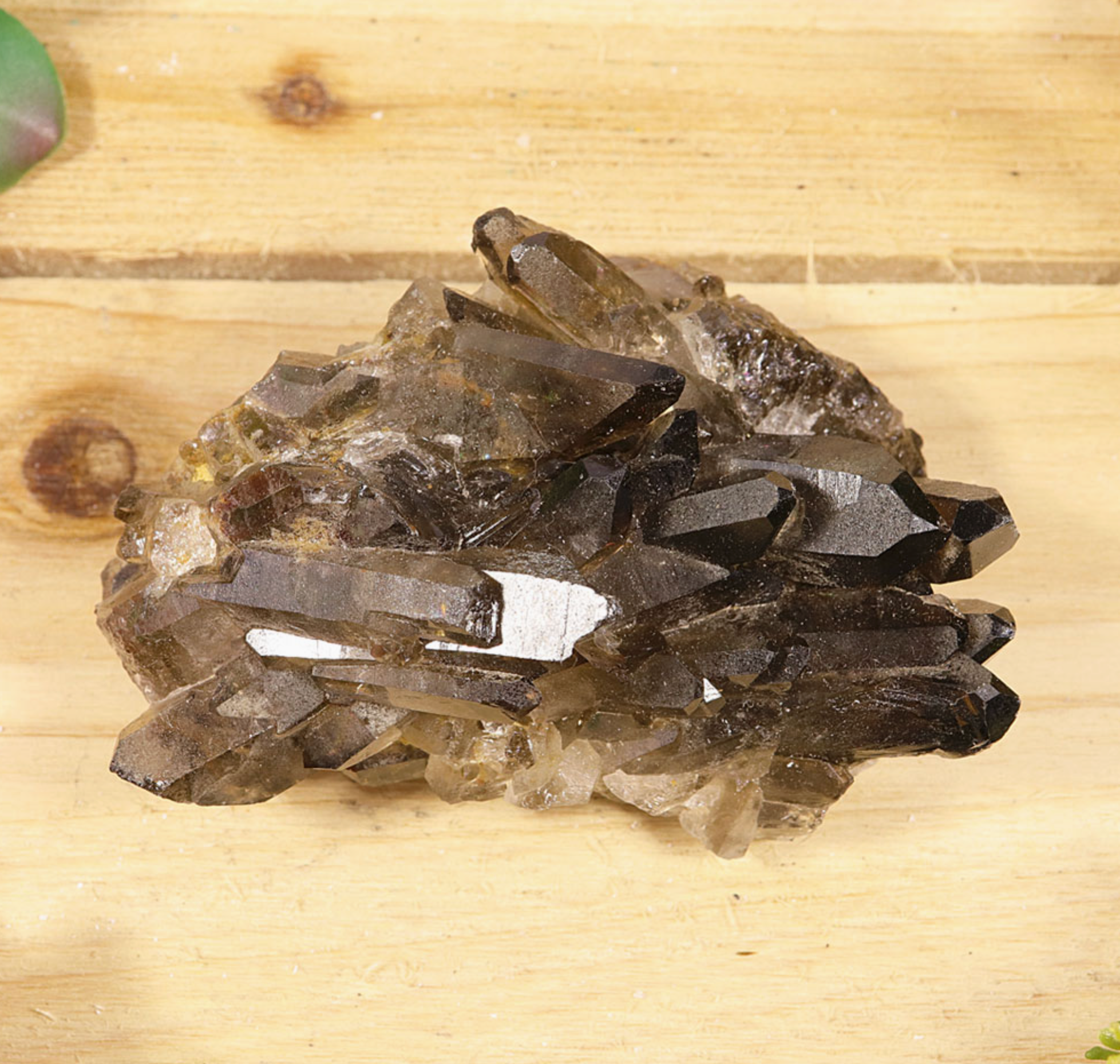 Smoky Quartz Clusters