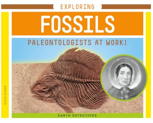 Exploring Fossils: Palaeontologists at Work! (Earth Detectives)