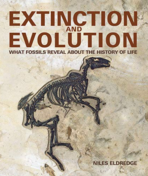 Extinction and Evolution: What Fossils Reveal About the History of Life