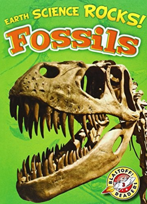 Fossils (Earth Science Rocks! Blastoff! Readers, Level 3)