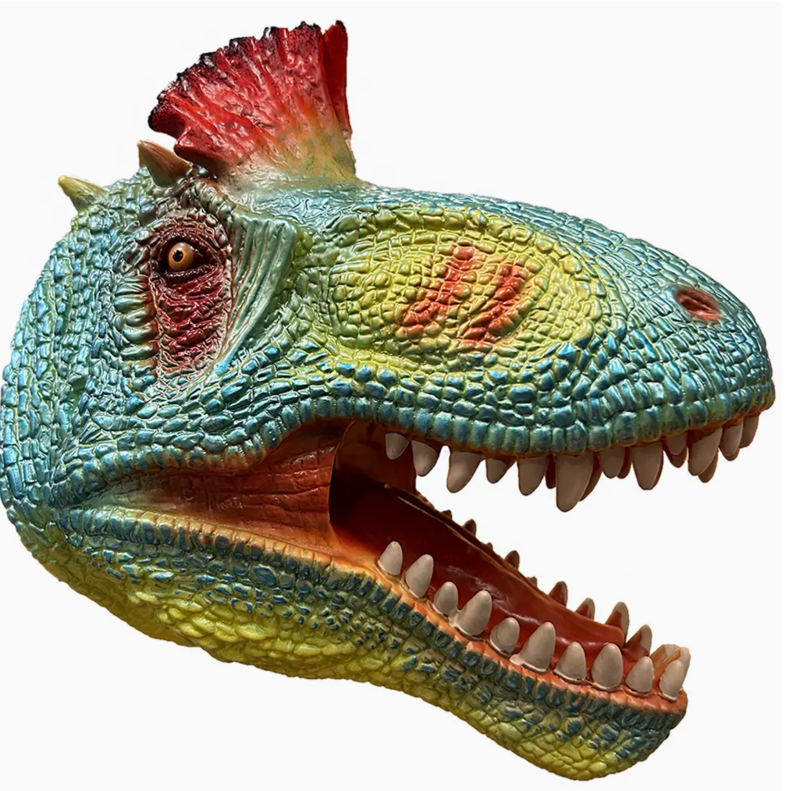 Crested Dino Puppet (Crylophosaurus)
