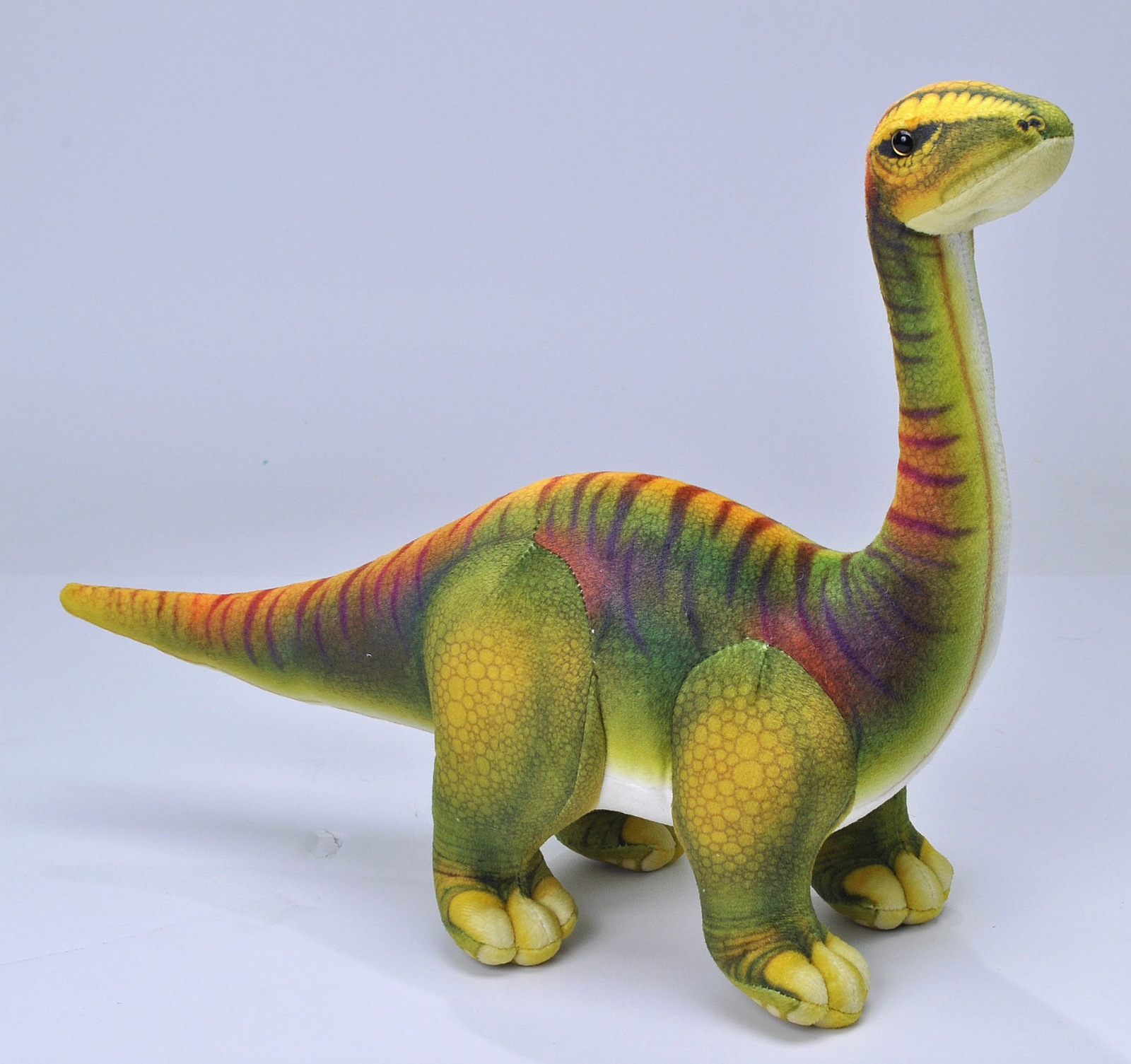 Dinosauria IV Diplodocus