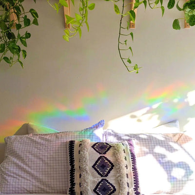 Botanical Suncatcher | Window Cling | Rainbow Maker Sticker