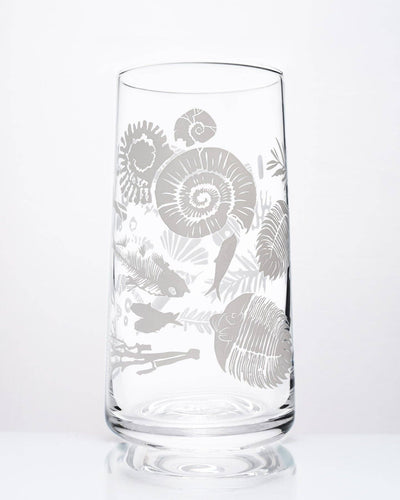 Fossils Drinking Glass