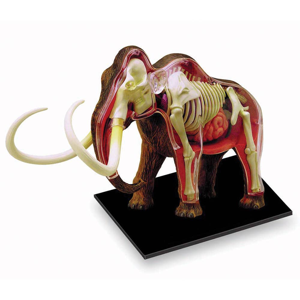 4D Woolly Mammoth