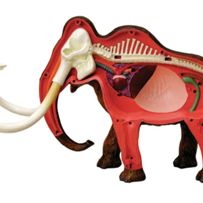 4D Woolly Mammoth