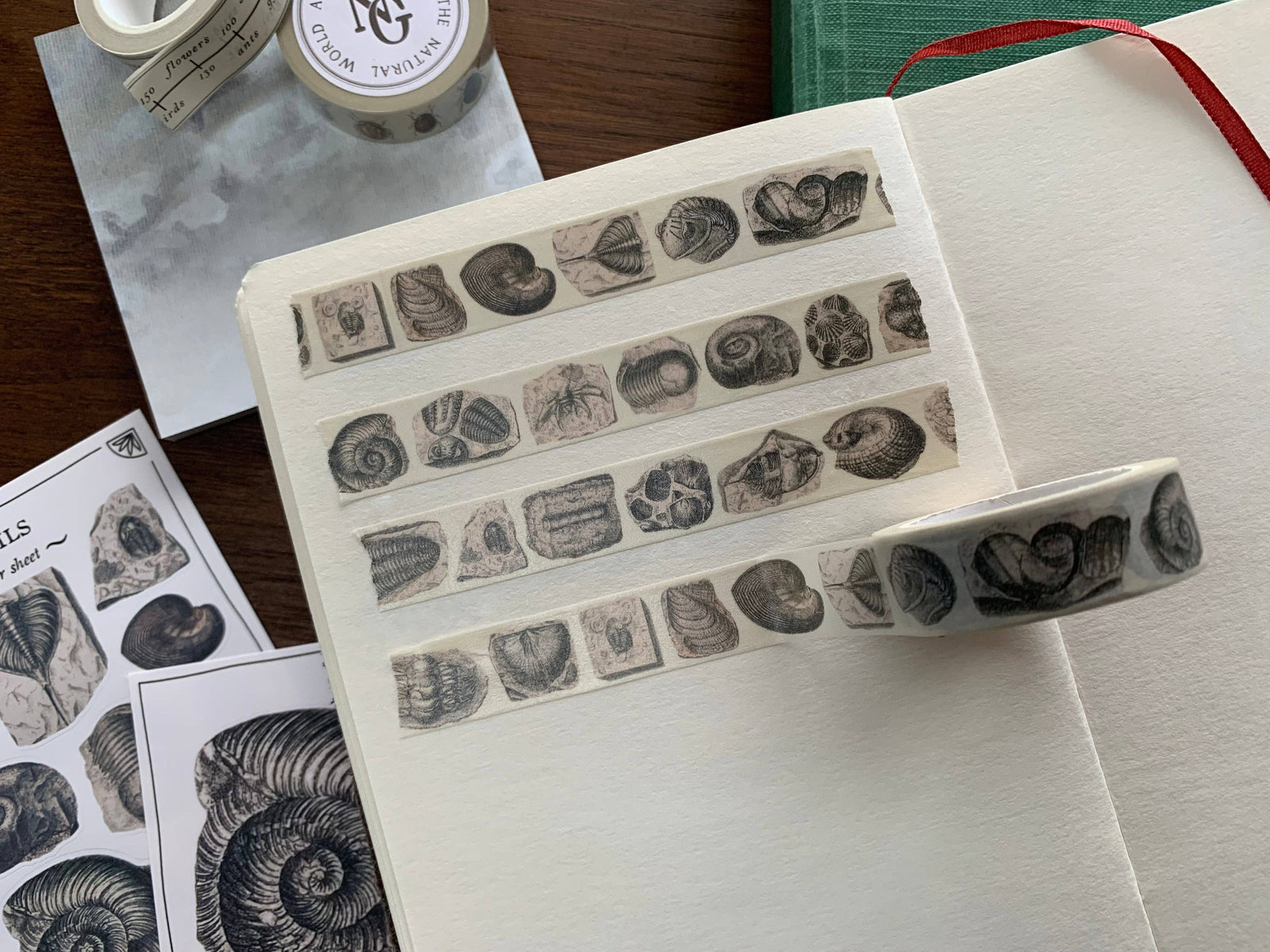Fossil Washi Tape