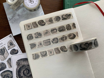 Fossil Washi Tape