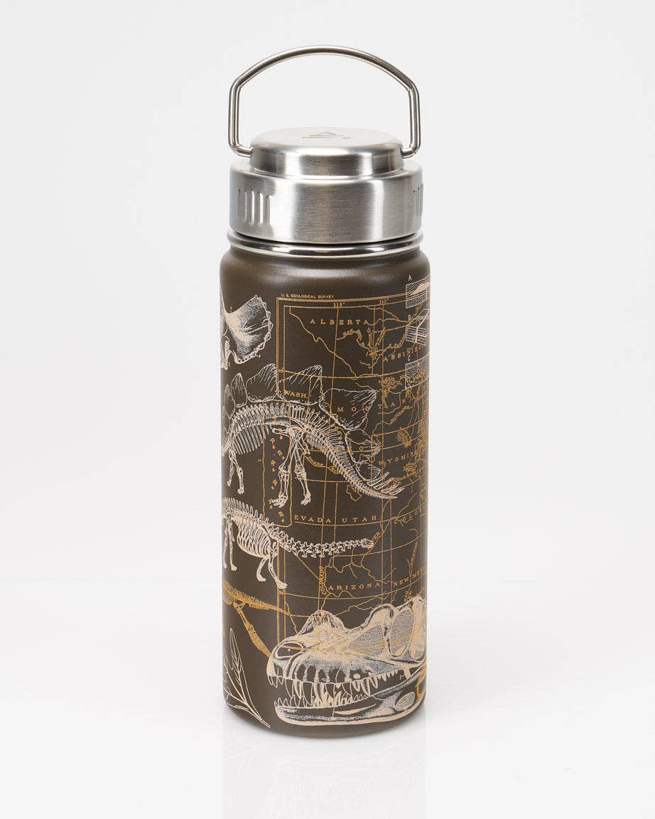 Dinosaurs 18 oz Steel Bottle
