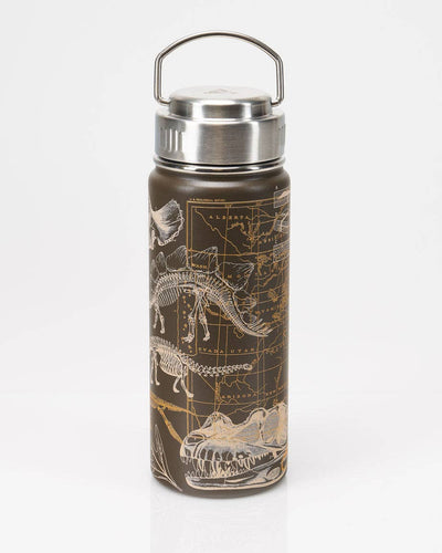 Dinosaurs 18 oz Steel Bottle