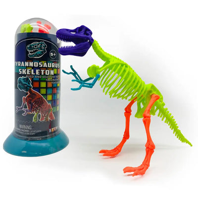 Dinosaur Skeleton Toy