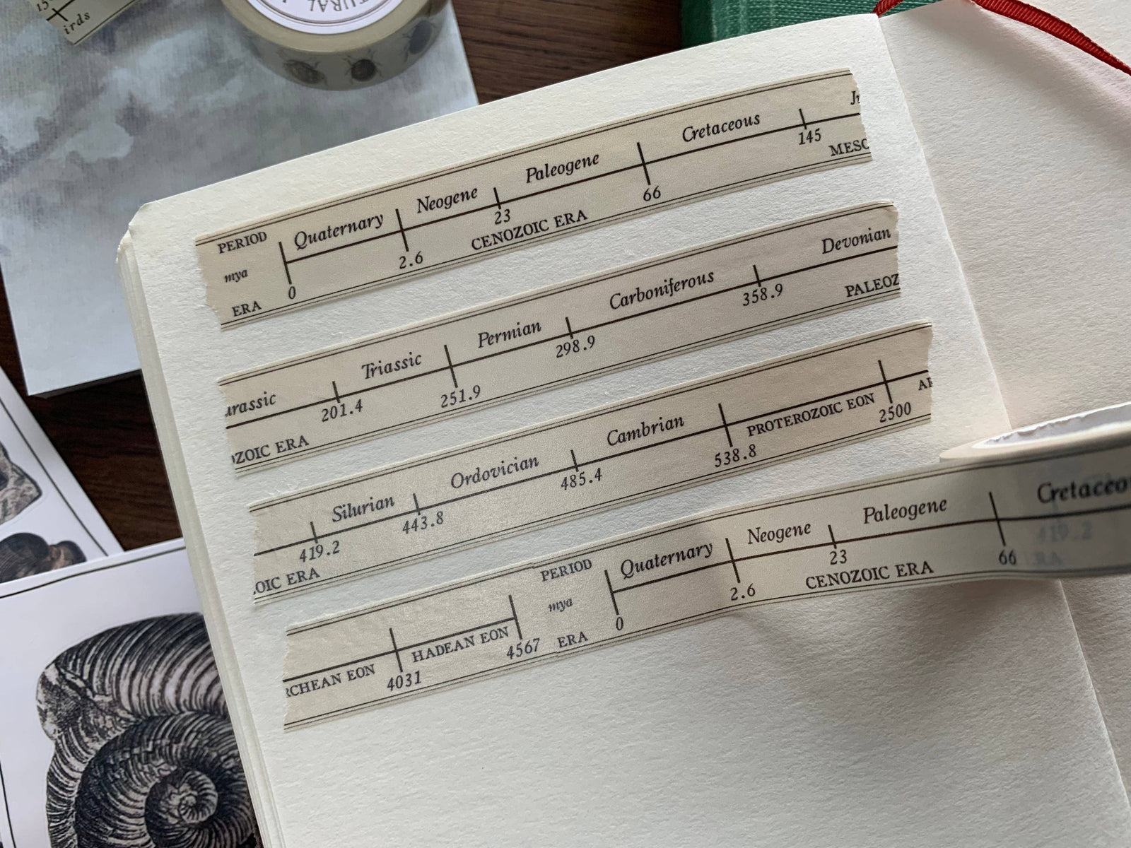 Geological Timeline Washi Tape