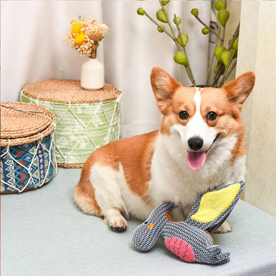 HugSmart Pet Pterosaur - Dog Plush Toy