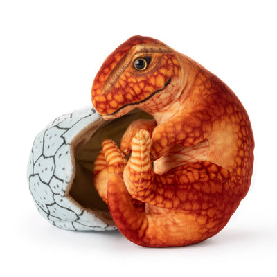 8" Orange Hatchling T.Rex