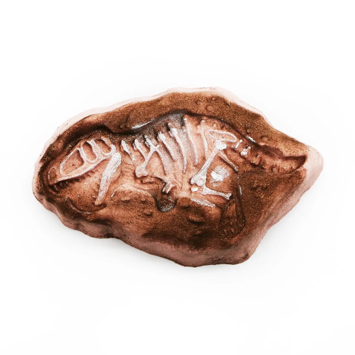 Dino Fossil